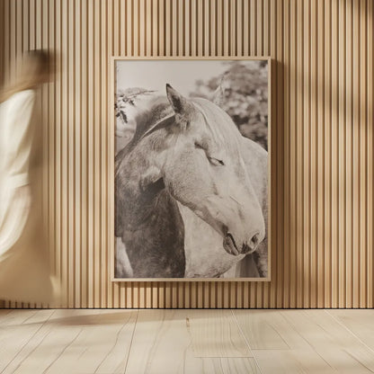 White Horse Sepia by Sharon Vardy. shown as over sized large wall art. Available as an archival giclee rolled canvas, fine art paper, or poster print. SKU 92189h.