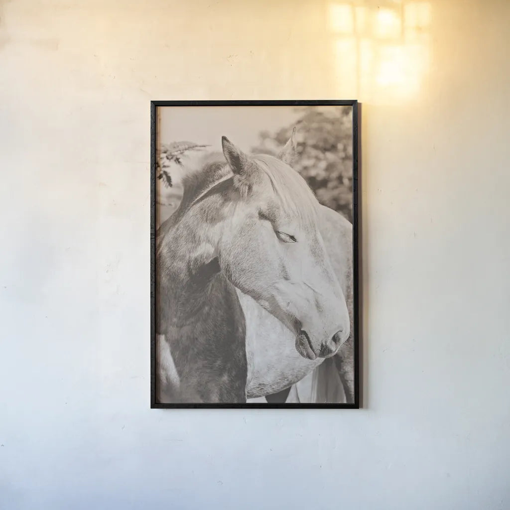 White Horse Sepia by Sharon Vardy. shown as a paper print in a black flame. Available as a archival giclee rolled canvas, fine art paper, or poster print. SKU 92189h.