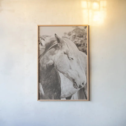 White Horse Sepia by Sharon Vardy. shown as a paper print in a natural frame. Available as a archival giclee rolled canvas, fine art paper, or poster print. SKU 92189h.