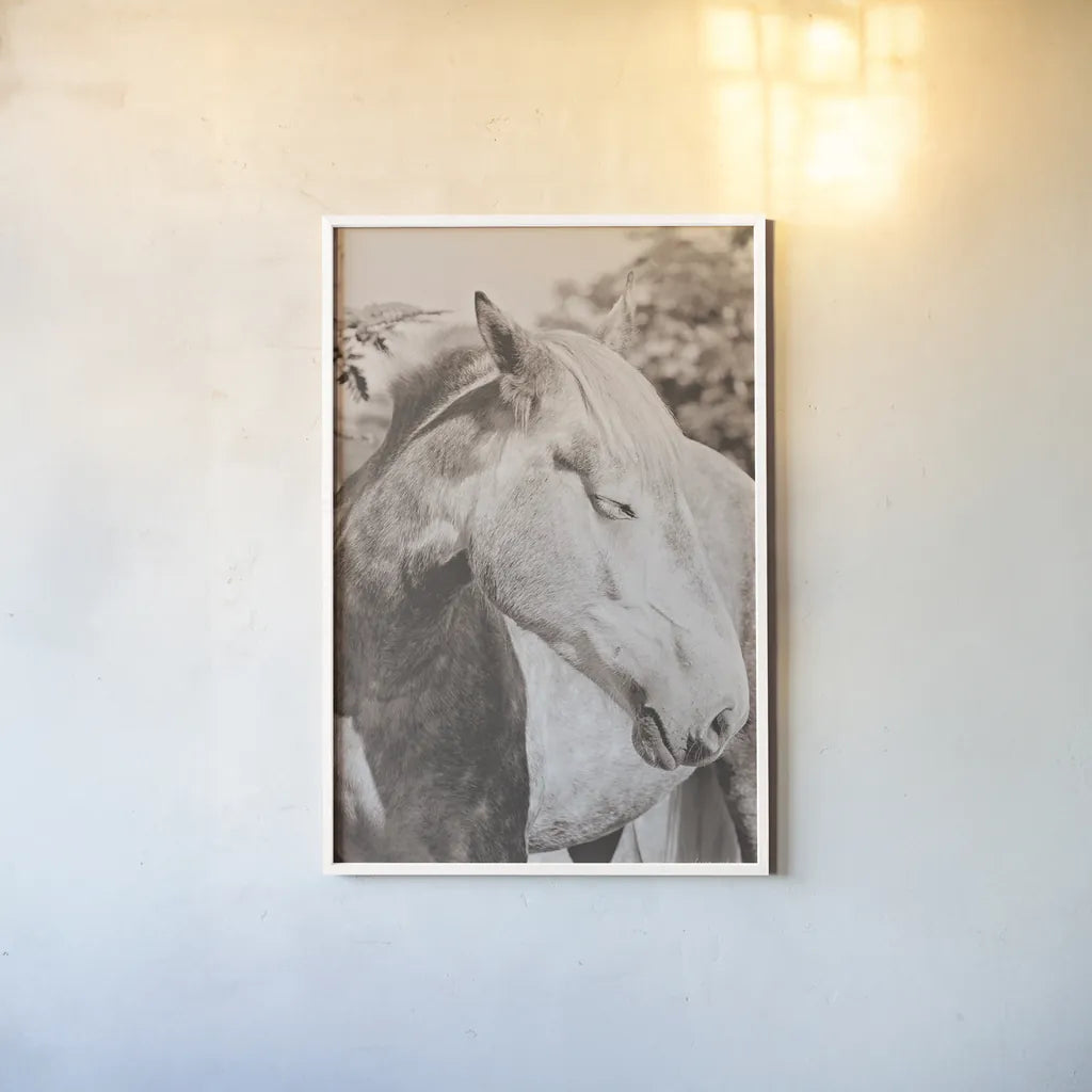 White Horse Sepia by Sharon Vardy. shown as a paper print in a white frame. Available as a archival giclee rolled canvas, fine art paper, or poster print. SKU 92189h.