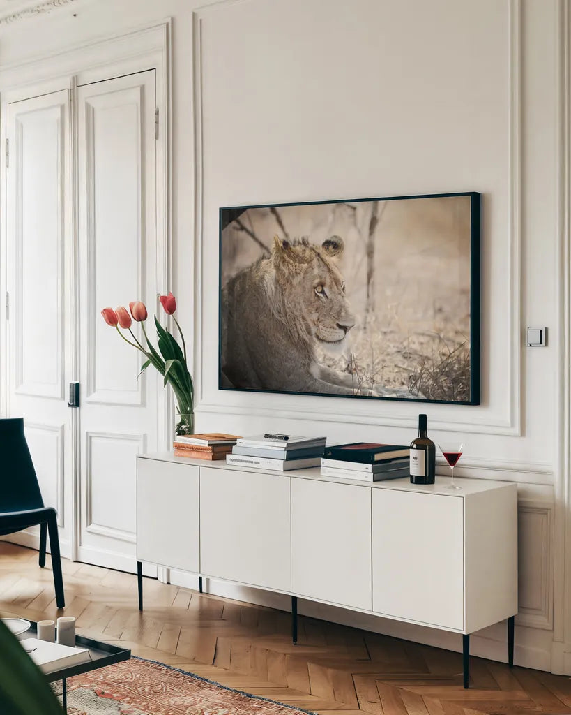 Young Lion by Sharon Vardy. shown as a framed stretched canvas in a living room above a console. Available as a archival giclee rolled canvas, fine art paper, or poster print. SKU 92272i.