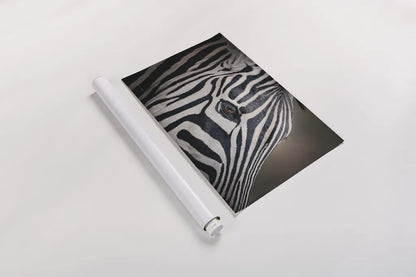 Zebra Face by Sharon Vardy. shown as a rolled paper print. Available as archival giclee rolled canvas, fine art paper, or poster print. SKU 91983i.