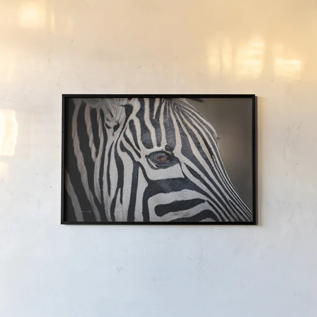Zebra Face by Sharon Vardy. shown as a paper print in a black flame. Available as a archival giclee rolled canvas, fine art paper, or poster print. SKU 91983i.