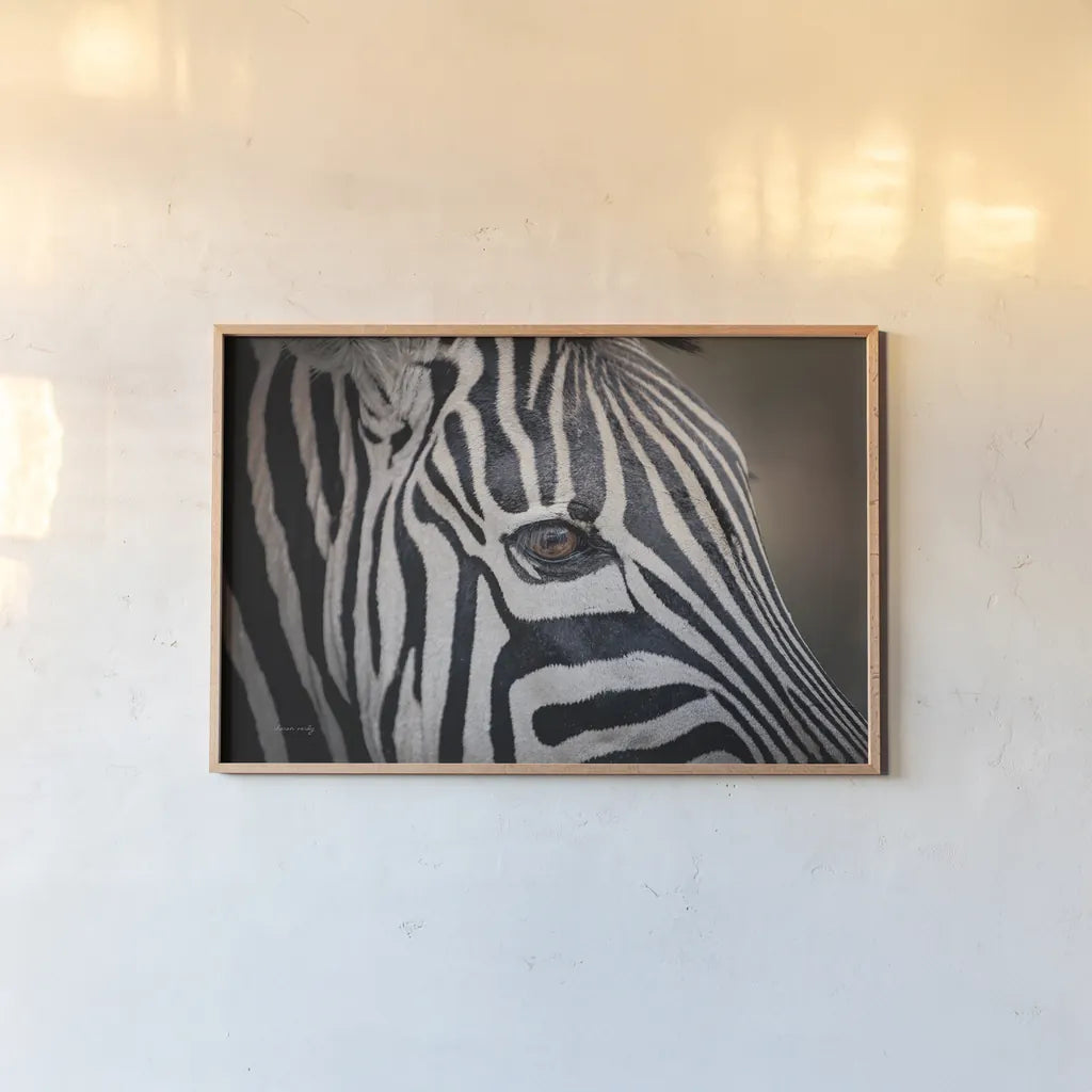 Zebra Face by Sharon Vardy. shown as a paper print in a natural frame. Available as a archival giclee rolled canvas, fine art paper, or poster print. SKU 91983i.