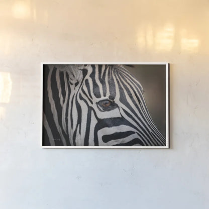 Zebra Face by Sharon Vardy. shown as a paper print in a white frame. Available as a archival giclee rolled canvas, fine art paper, or poster print. SKU 91983i.