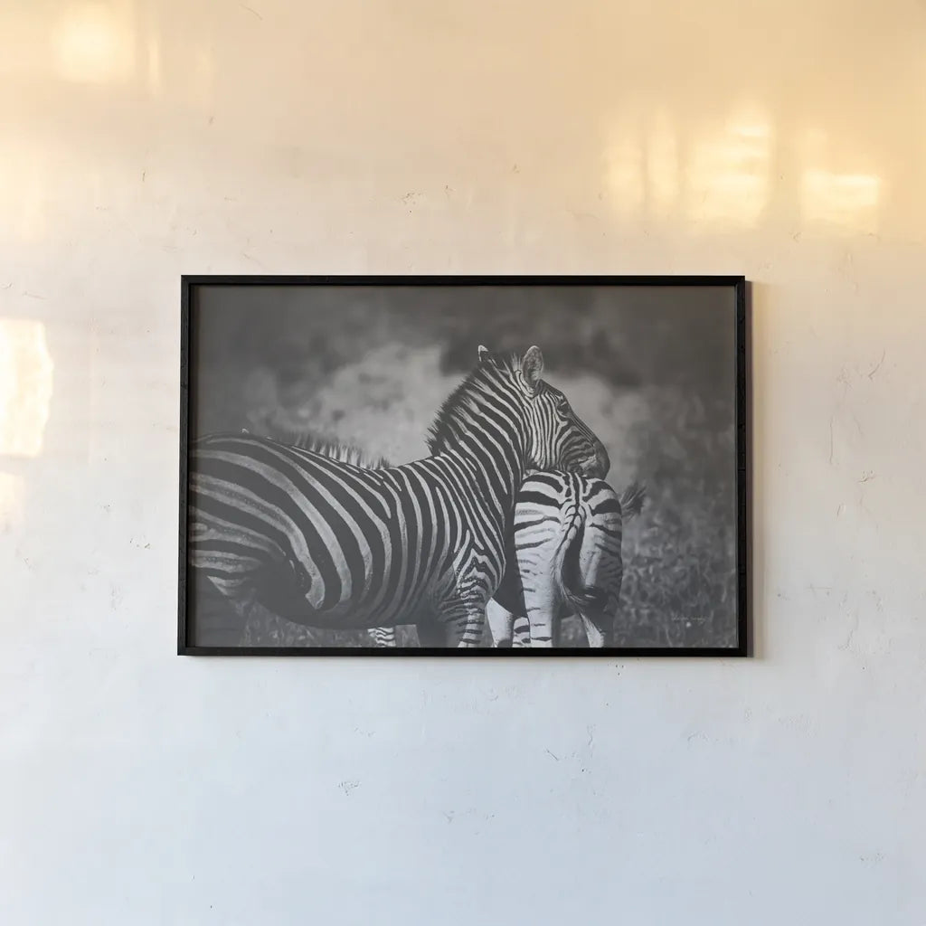 Zebra Love by Sharon Vardy. shown as a paper print in a black flame. Available as a archival giclee rolled canvas, fine art paper, or poster print. SKU 93133i.