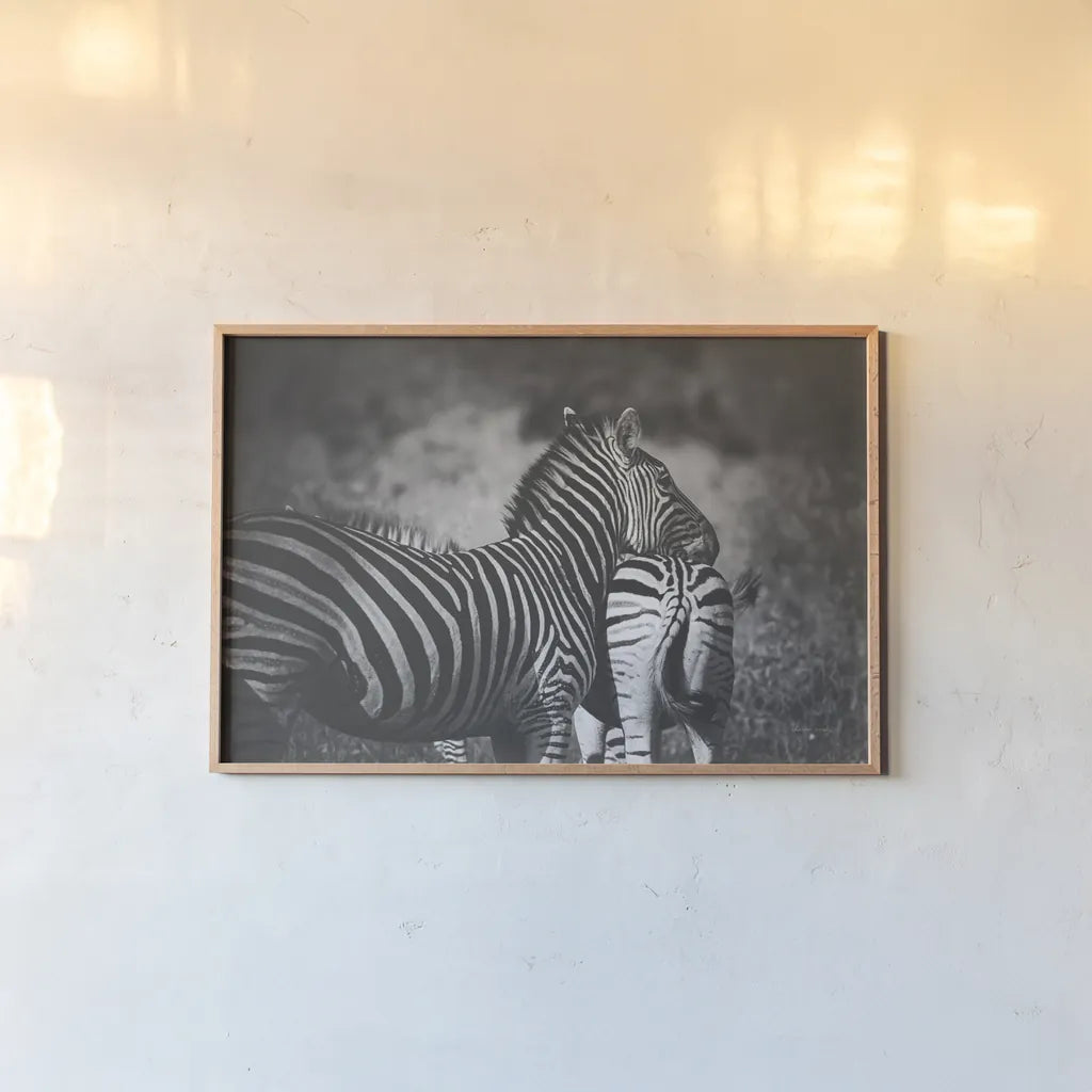 Zebra Love by Sharon Vardy. shown as a paper print in a natural frame. Available as a archival giclee rolled canvas, fine art paper, or poster print. SKU 93133i.