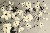 Anemones Japonaises Gray by Shirley Novak. SKU 80441i. Archival Giclee Fine art print for wall decor.
