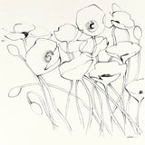 Black Line Poppies I by Shirley Novak. SKU 23667a. Archival Giclee Fine art print for wall decor.