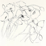 Black Line Poppies II by Shirley Novak. SKU 23668a. Archival Giclee Fine art print for wall decor.