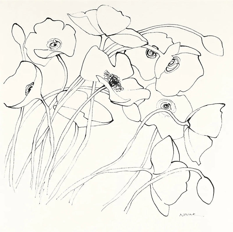 Black Line Poppies II by Shirley Novak. SKU 23668a. Archival Giclee Fine art print for wall decor.