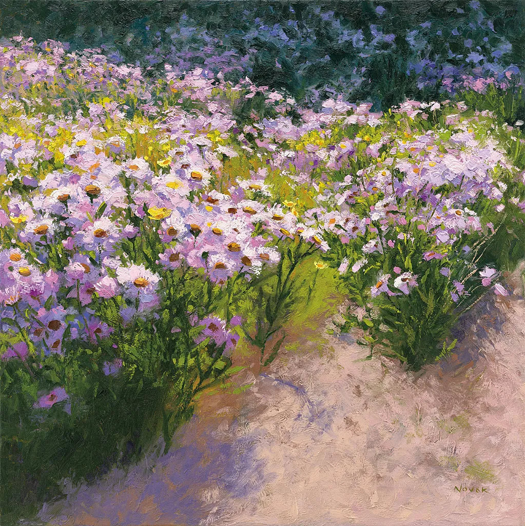 Buckhorn Aster Show by Shirley Novak. SKU 27548a. Archival Giclee Fine art print for wall decor.