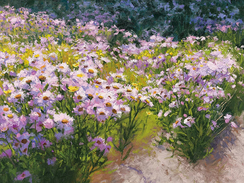 Buckhorn Aster Show Crop by Shirley Novak