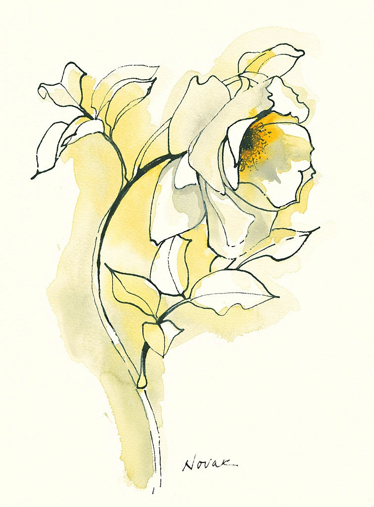 Carols Roses III by Shirley Novak