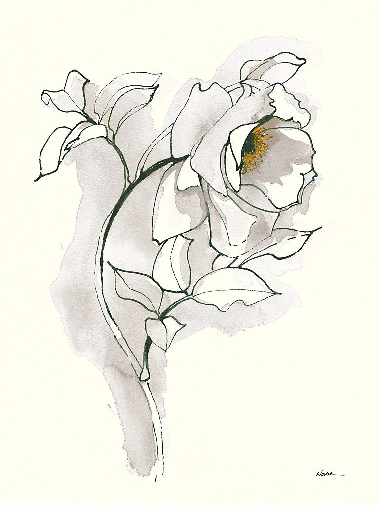 Carols Roses III Soft Gray by Shirley Novak