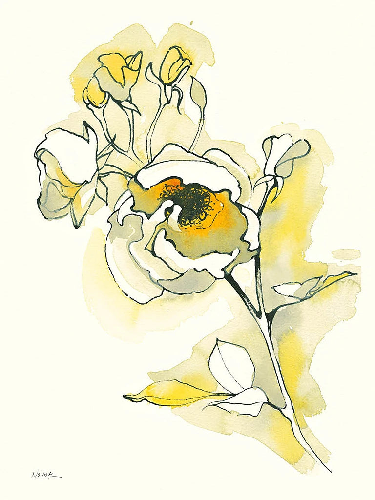 Carols Roses IV by Shirley Novak