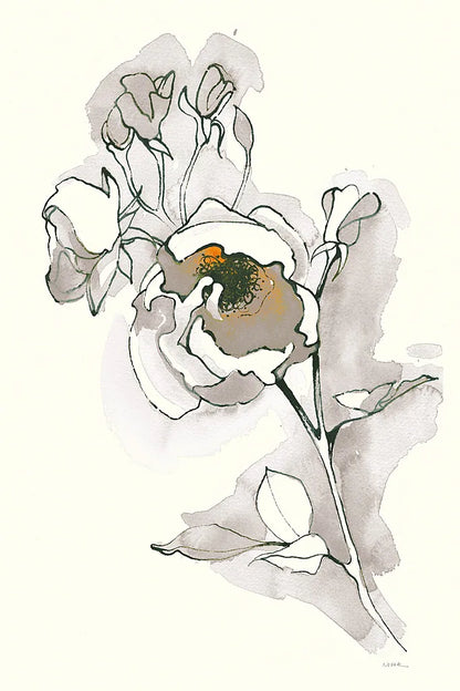 Carols Roses IV Tan by Shirley Novak. SKU 28709h. Archival Giclee Fine art print for wall decor.