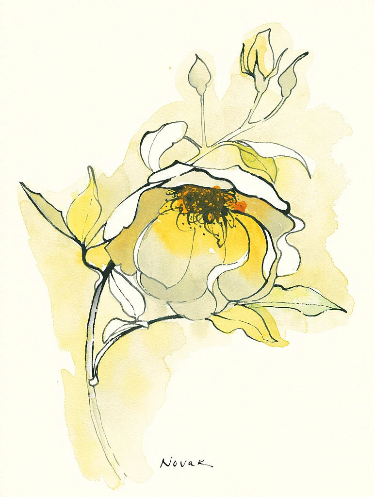 Carols Roses V by Shirley Novak