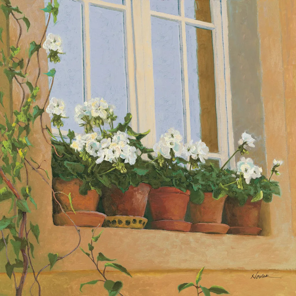 Chateau Creancey Window Light Sq by Shirley Novak. SKU 65543a. Archival Giclee Fine art print for wall decor.