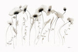 Coquelicots by Shirley Novak. SKU 89490i. Archival Giclee Fine art print for wall decor.