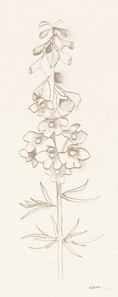 Delphinium I by Shirley Novak