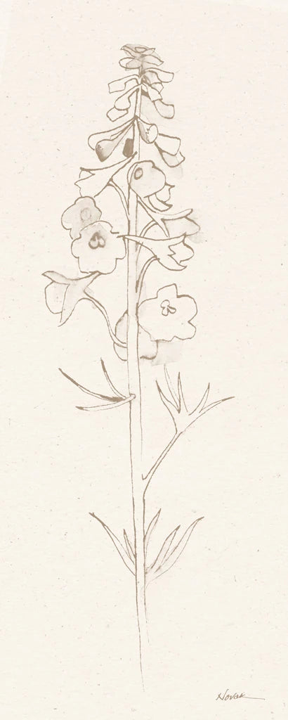 Delphinium II by Shirley Novak