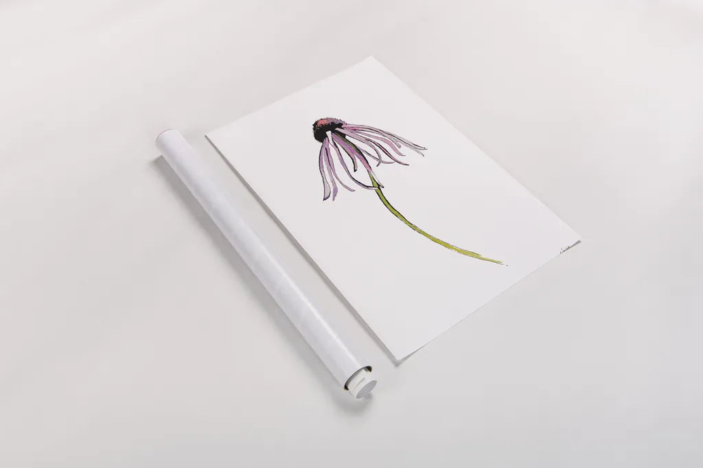 Echinacea I by Shirley Novak. shown as a rolled paper print. Available as archival giclee rolled canvas, fine art paper, or poster print. SKU 88456h.