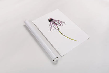 Echinacea I by Shirley Novak. shown as a rolled paper print. Available as archival giclee rolled canvas, fine art paper, or poster print. SKU 88456h.