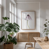 Echinacea I by Shirley Novak. shown as a print in a natural wood frame in a dining room. Available as a archival giclee rolled canvas, fine art paper, or poster print. SKU 88456h.