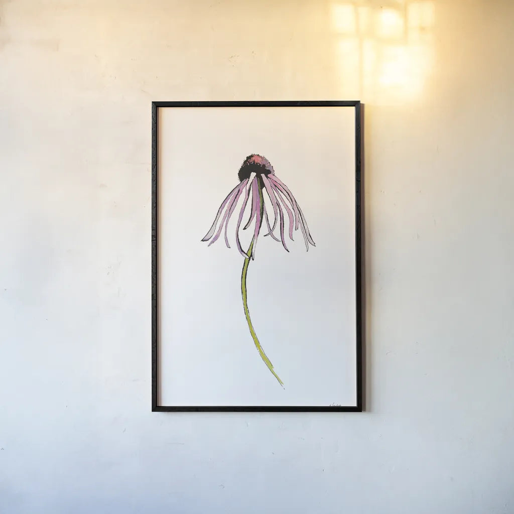 Echinacea I by Shirley Novak. shown as a paper print in a black flame. Available as a archival giclee rolled canvas, fine art paper, or poster print. SKU 88456h.