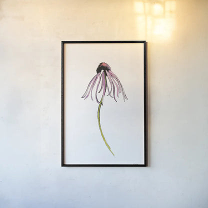 Echinacea I by Shirley Novak. shown as a paper print in a black flame. Available as a archival giclee rolled canvas, fine art paper, or poster print. SKU 88456h.