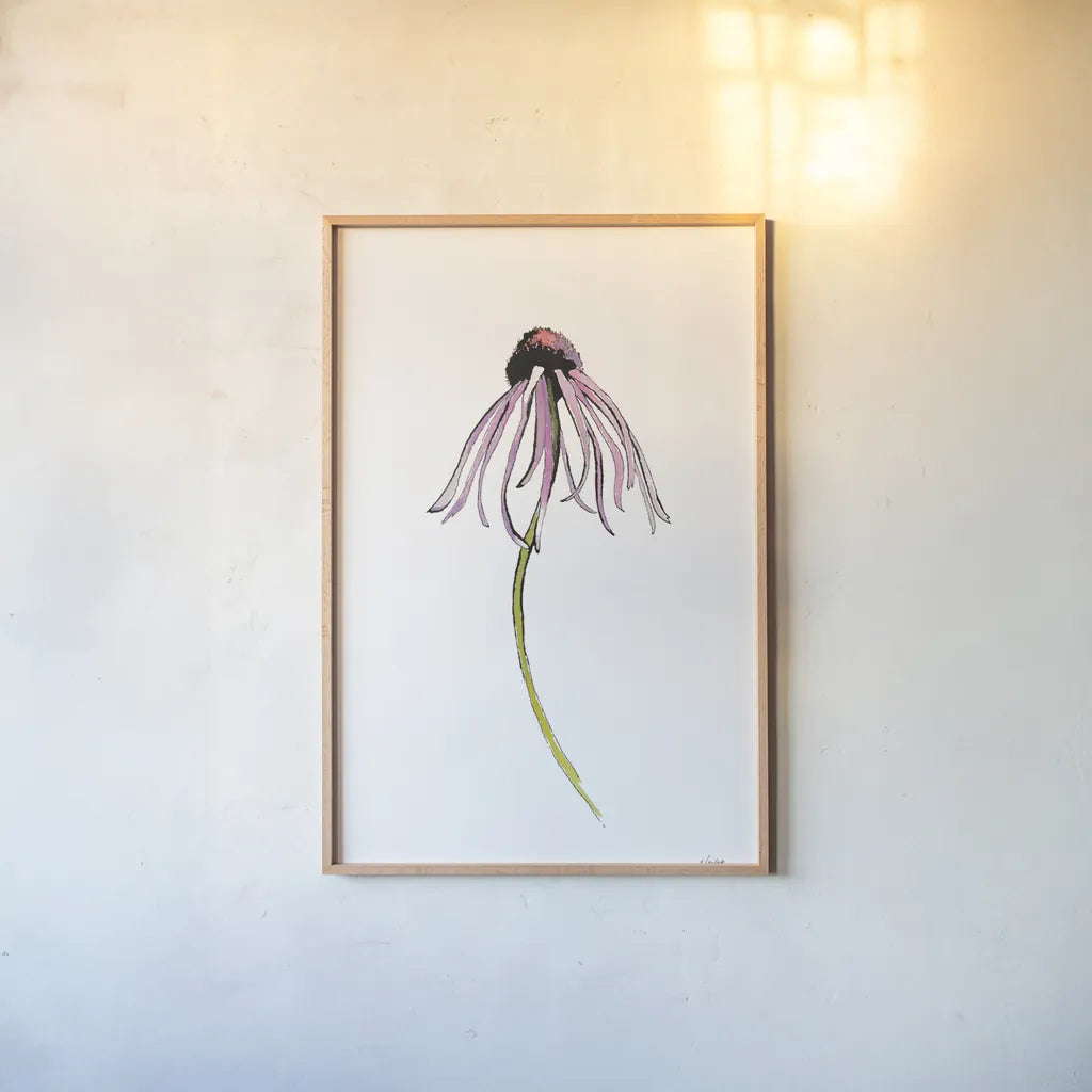 Echinacea I by Shirley Novak. shown as a paper print in a natural frame. Available as a archival giclee rolled canvas, fine art paper, or poster print. SKU 88456h.