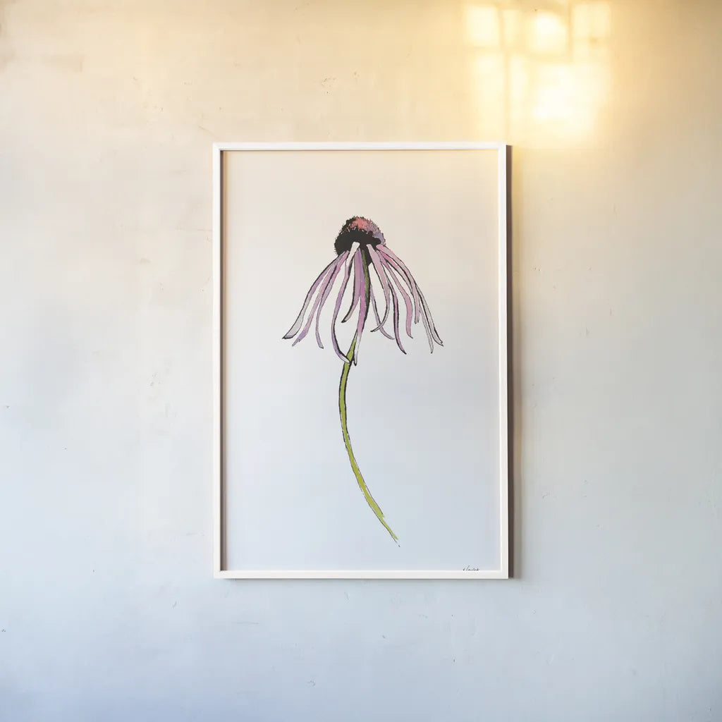 Echinacea I by Shirley Novak. shown as a paper print in a white frame. Available as a archival giclee rolled canvas, fine art paper, or poster print. SKU 88456h.
