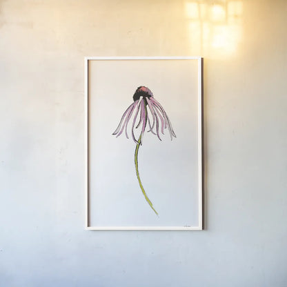Echinacea I by Shirley Novak. shown as a paper print in a white frame. Available as a archival giclee rolled canvas, fine art paper, or poster print. SKU 88456h.