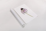 Echinacea II by Shirley Novak. shown as a rolled paper print. Available as archival giclee rolled canvas, fine art paper, or poster print. SKU 88457h.