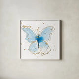 Gilded Butterflies V by Shirley Novak. Shown in a crisp white glass frame for a clean and minimalist style. Available as an archival giclee rolled canvas, fine art paper, or poster print. SKU 30836a.