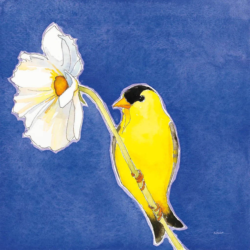 Gold Finch on White Cosmos by Shirley Novak. SKU 88681a. Archival Giclee Fine art print for wall decor.