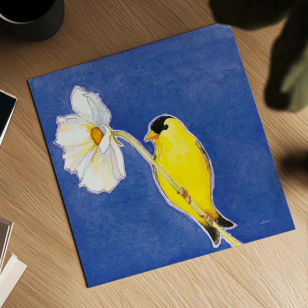 Gold Finch on White Cosmos by Shirley Novak. Shown as a detailed flat fine art print, highlighting archival giclee quality. Available as an archival giclee rolled canvas, fine art paper, or poster print. SKU 88681a.