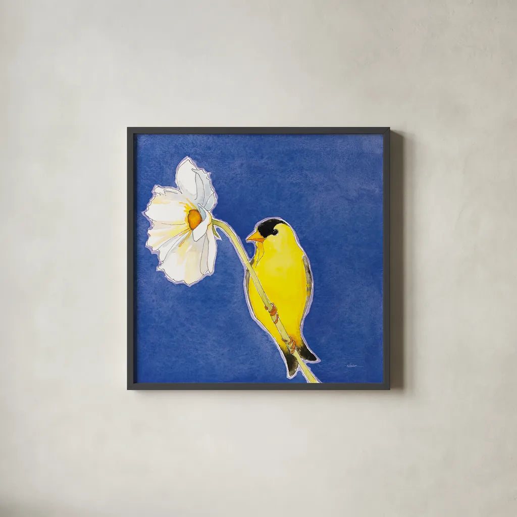 Gold Finch on White Cosmos by Shirley Novak. Shown in a sleek black glass frame for a contemporary gallery look. Available as an archival giclee rolled canvas, fine art paper, or poster print. SKU 88681a.