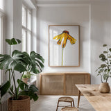 Indian Summer II by Shirley Novak. shown as a print in a natural wood frame in a dining room. Available as a archival giclee rolled canvas, fine art paper, or poster print. SKU 88459h.