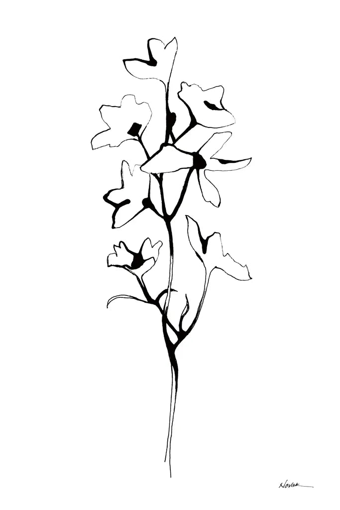 Ink Botanical by Shirley Novak. SKU 96827h. Archival Giclee Fine art print for wall decor.