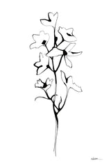 Ink Botanical by Shirley Novak. SKU 96827h. Archival Giclee Fine art print for wall decor.