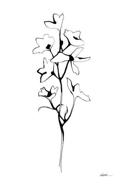 Ink Botanical by Shirley Novak. SKU 96827h. Archival Giclee Fine art print for wall decor.