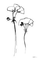 Ink Flowers by Shirley Novak. SKU 96828h. Archival Giclee Fine art print for wall decor.