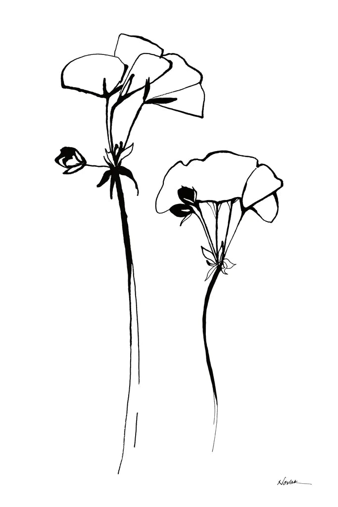 Ink Flowers by Shirley Novak. SKU 96828h. Archival Giclee Fine art print for wall decor.