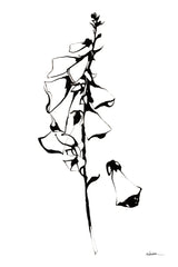 Ink Foxglove by Shirley Novak. SKU 89290h. Archival Giclee Fine art print for wall decor.