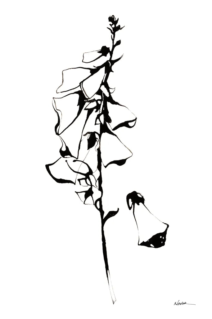 Ink Foxglove by Shirley Novak. SKU 89290h. Archival Giclee Fine art print for wall decor.