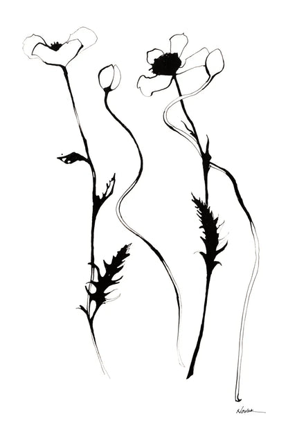 Ink Poppies by Shirley Novak. SKU 89289h. Archival Giclee Fine art print for wall decor.