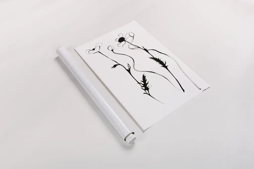 Ink Poppies by Shirley Novak. shown as a rolled paper print. Available as archival giclee rolled canvas, fine art paper, or poster print. SKU 89289h.