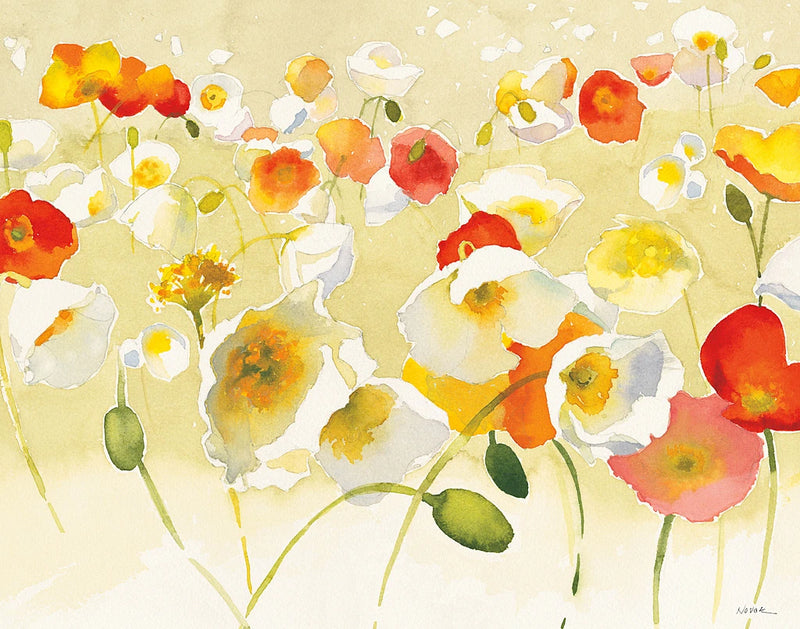 My Iceland Plot II by Shirley Novak